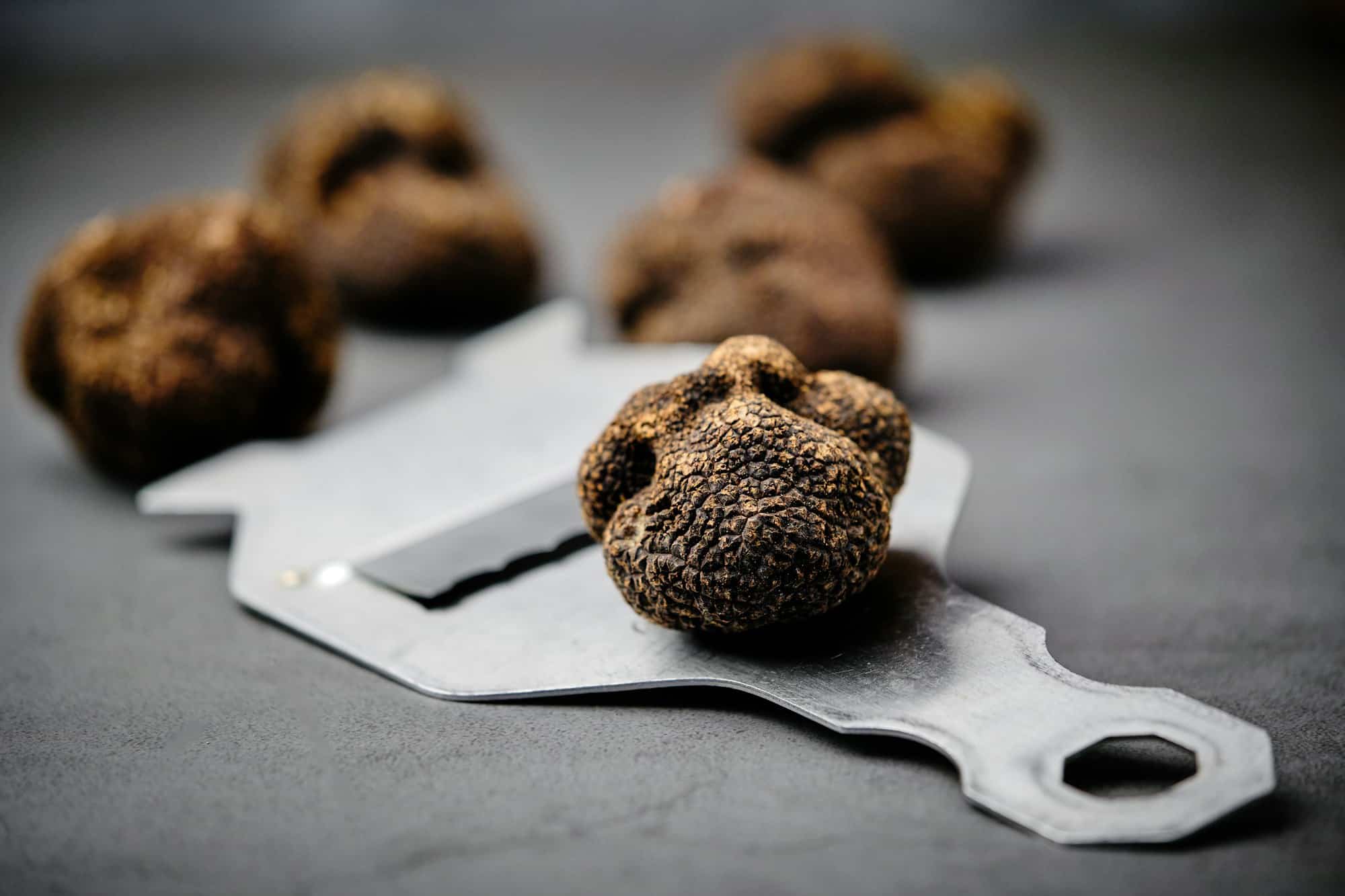 Black Truffle in Rolling Mill