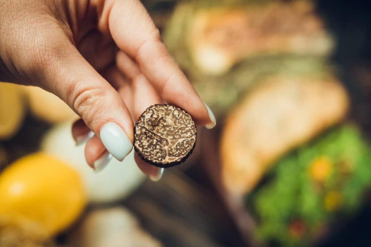 Sectional black truffle. The most expensive mushroom in the world. Used as delicacy in haute cuisine