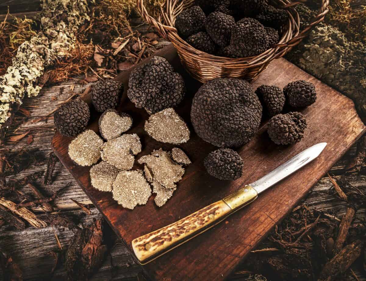Truffe noire au couteau